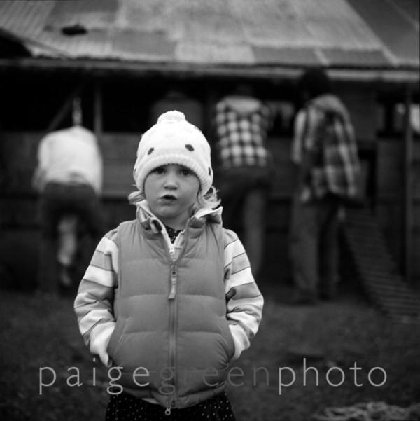 greenstringfarm-_0007