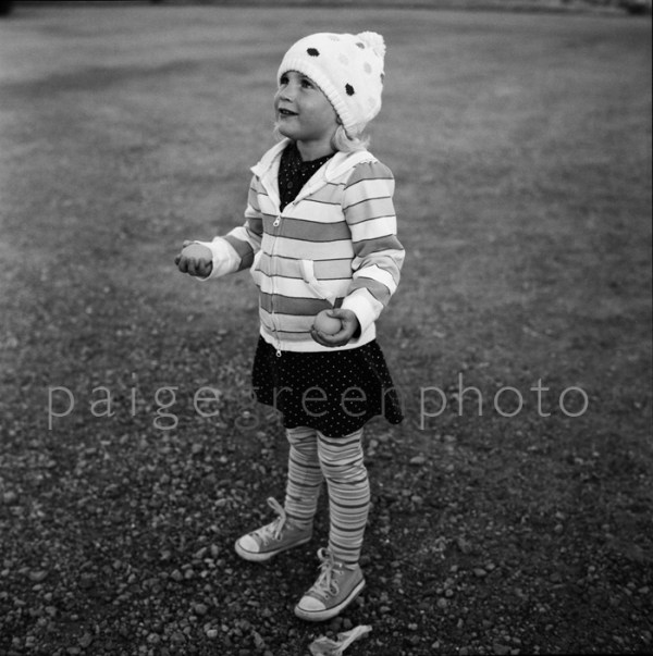 greenstringfarm-_0011