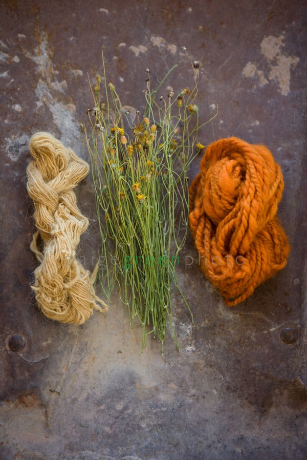 naturaldye_MG_9578