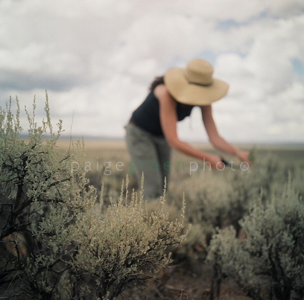 naturaldyesage-00770010