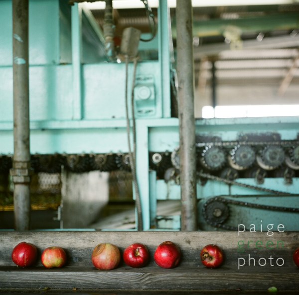 applefarm-IL-39140010 applefarm-IL-39140010