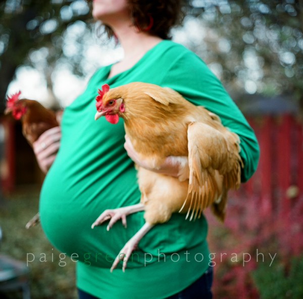 nici-chicken-82900007