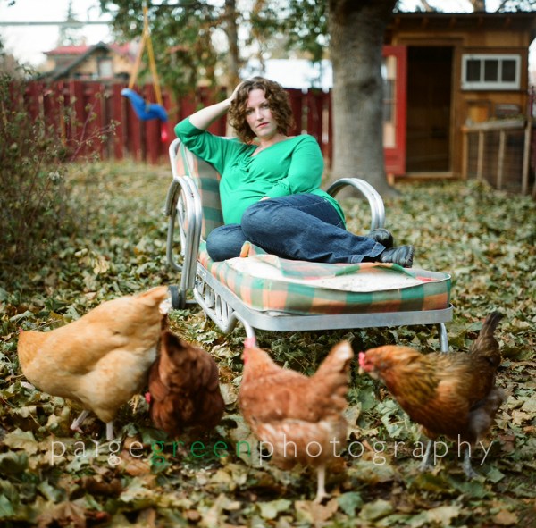 nici-chickens-82900009-1