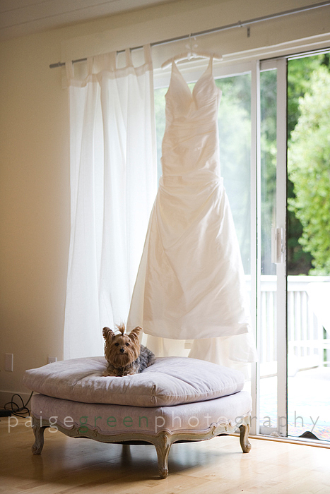 paigegreen-rogers-0026