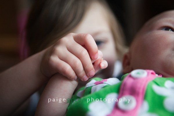 susan-paigegreen10_MG_0192