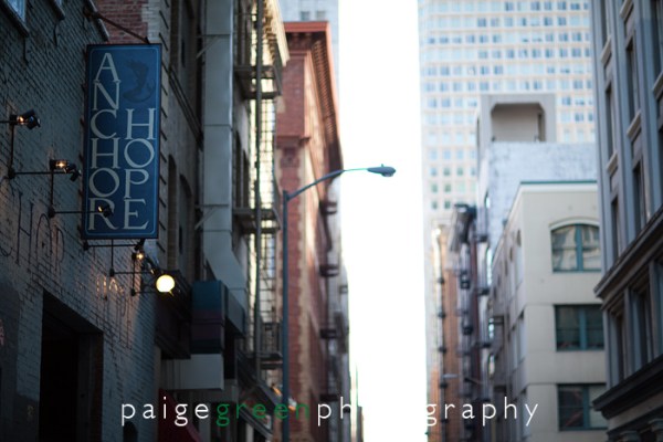 paigegreen-TH72310-328