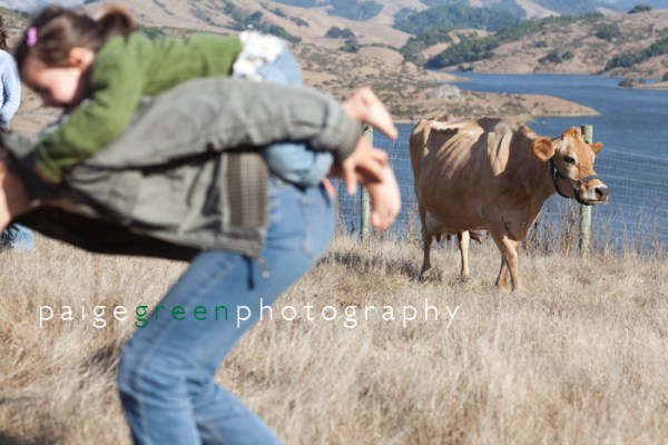 paigegreen-cowshare92110-023