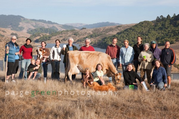 paigegreen-cowshare92110-042