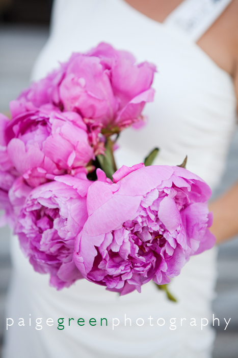 paigegreen-LJ63011-283