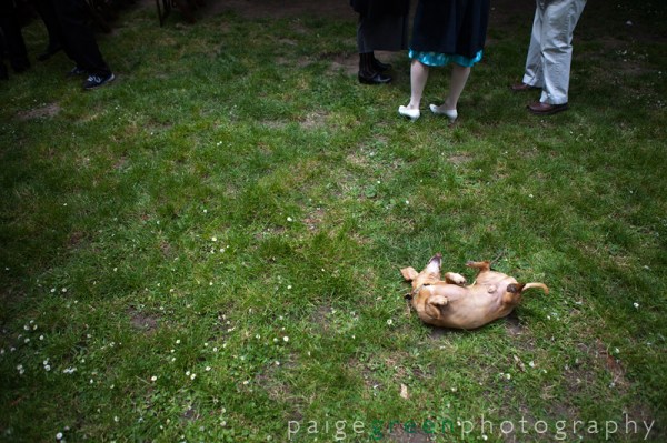 42paigegreenSE52612-0749