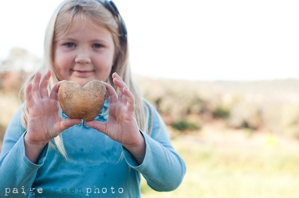 paigegreenHarvestMoon101412-026