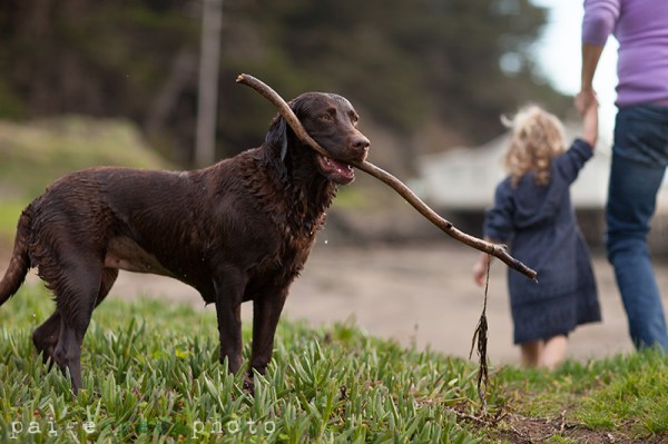 paigegreenSeana12513-091