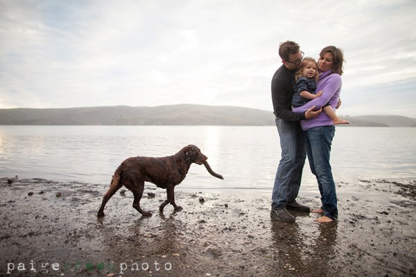 paigegreenSeana12513-251