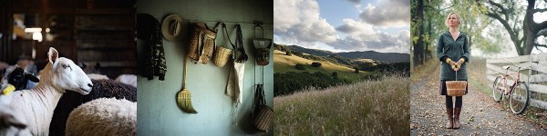 workshopbanner1small-notext-web