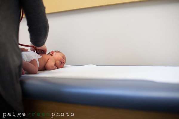 paigegreenBigFlipBonnieChip52813-2792