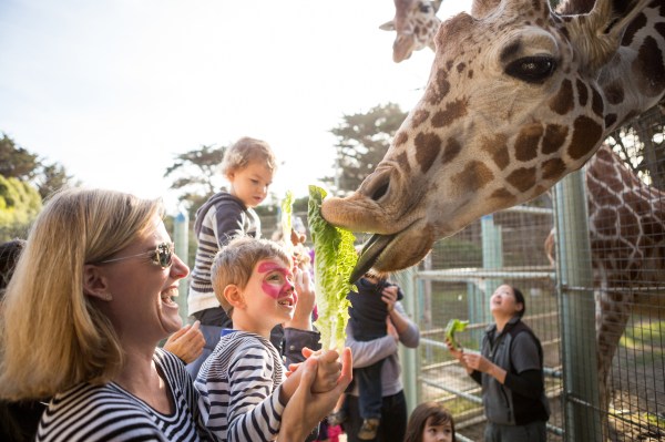 paigegreenJake111713-172