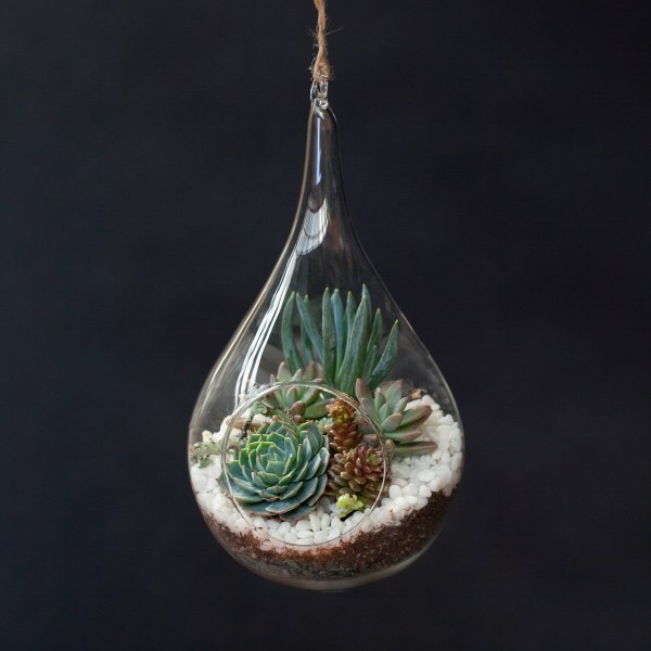 paigegreenLilaB21213-011