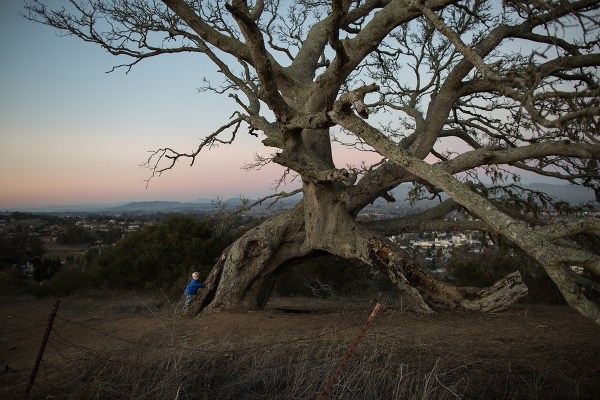 paigegreen01032013-044