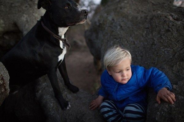 paigegreen01032013-048