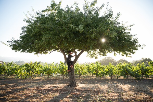 paigegreenMarietta080214-276