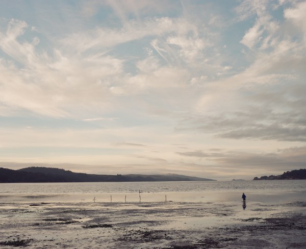 paigegreen2014000083690004