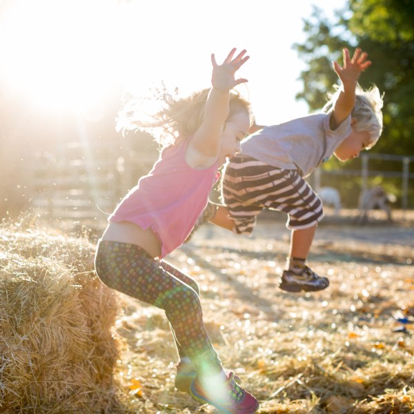 paigegreenAOC91414-103