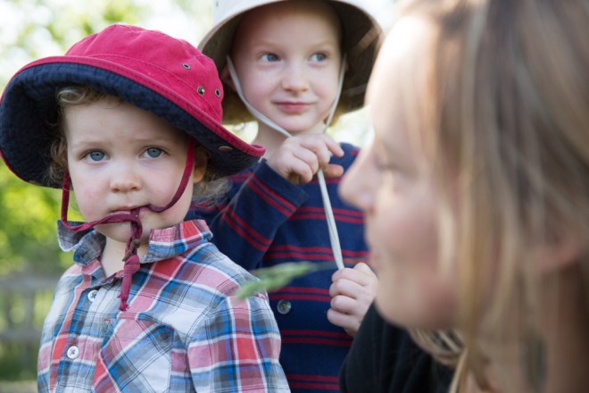 paigegreenFarmConcert050215-029