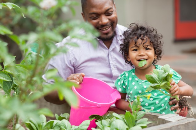 paigegreenBryantTerryFile64560