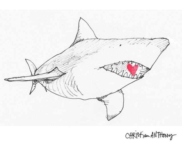 christiananthony-shark