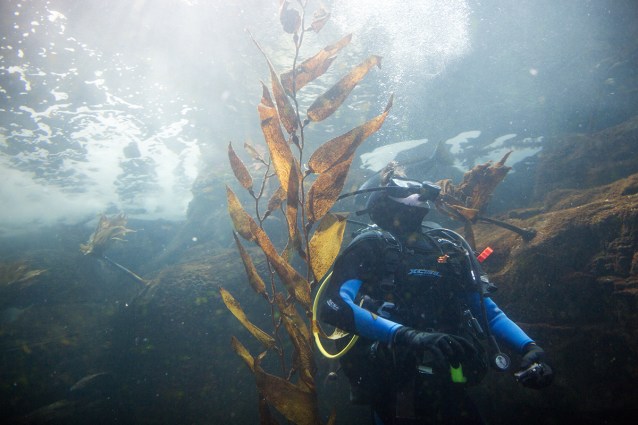 paigegreenGrouponAquar01082016-076