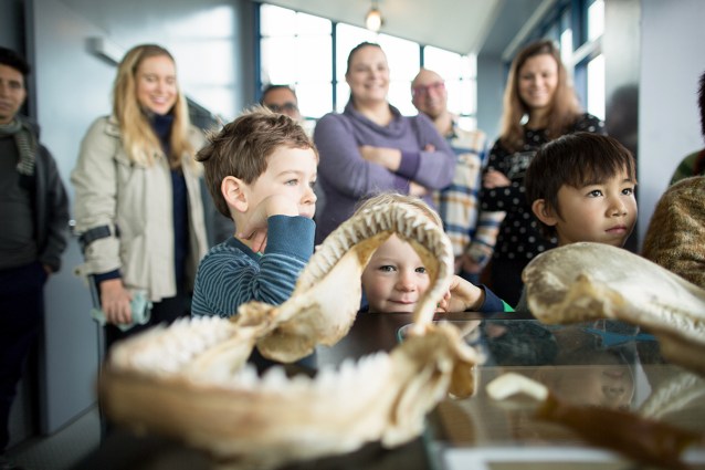 paigegreenGrouponAquar01082016-115w