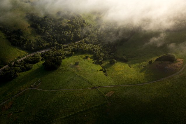 paigegreenMALT01312012-053