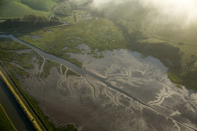 paigegreenMALT01312012-064