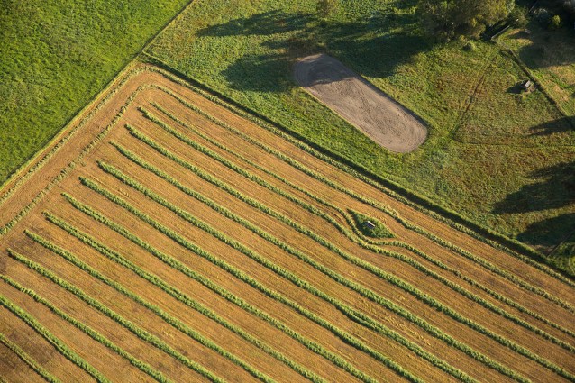 paigegreenMALT01312012-214