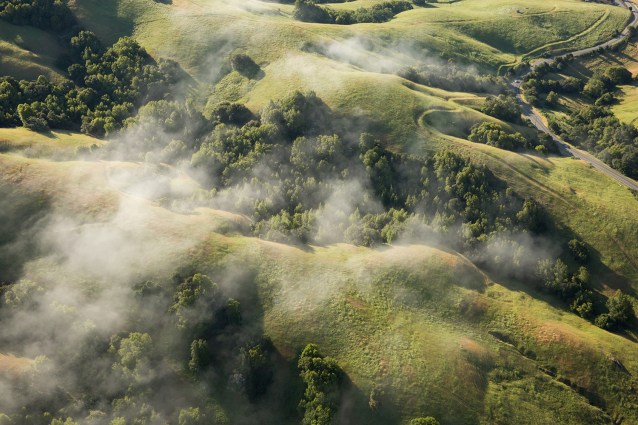 paigegreenMALT01312012-286