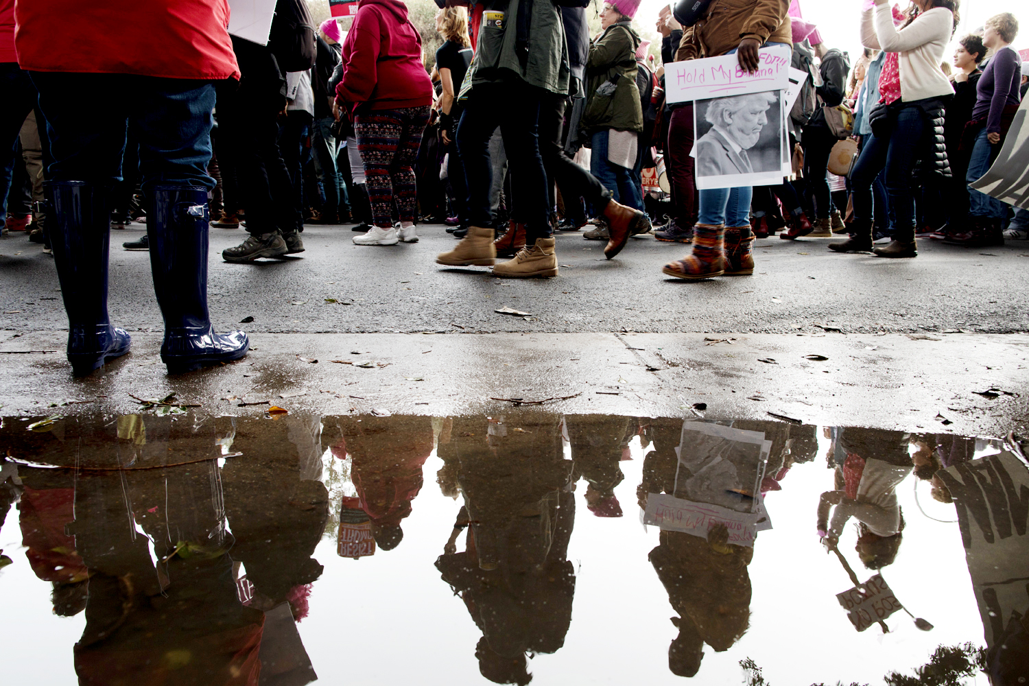 _54a1894paigegreenmarchoak01242017-3