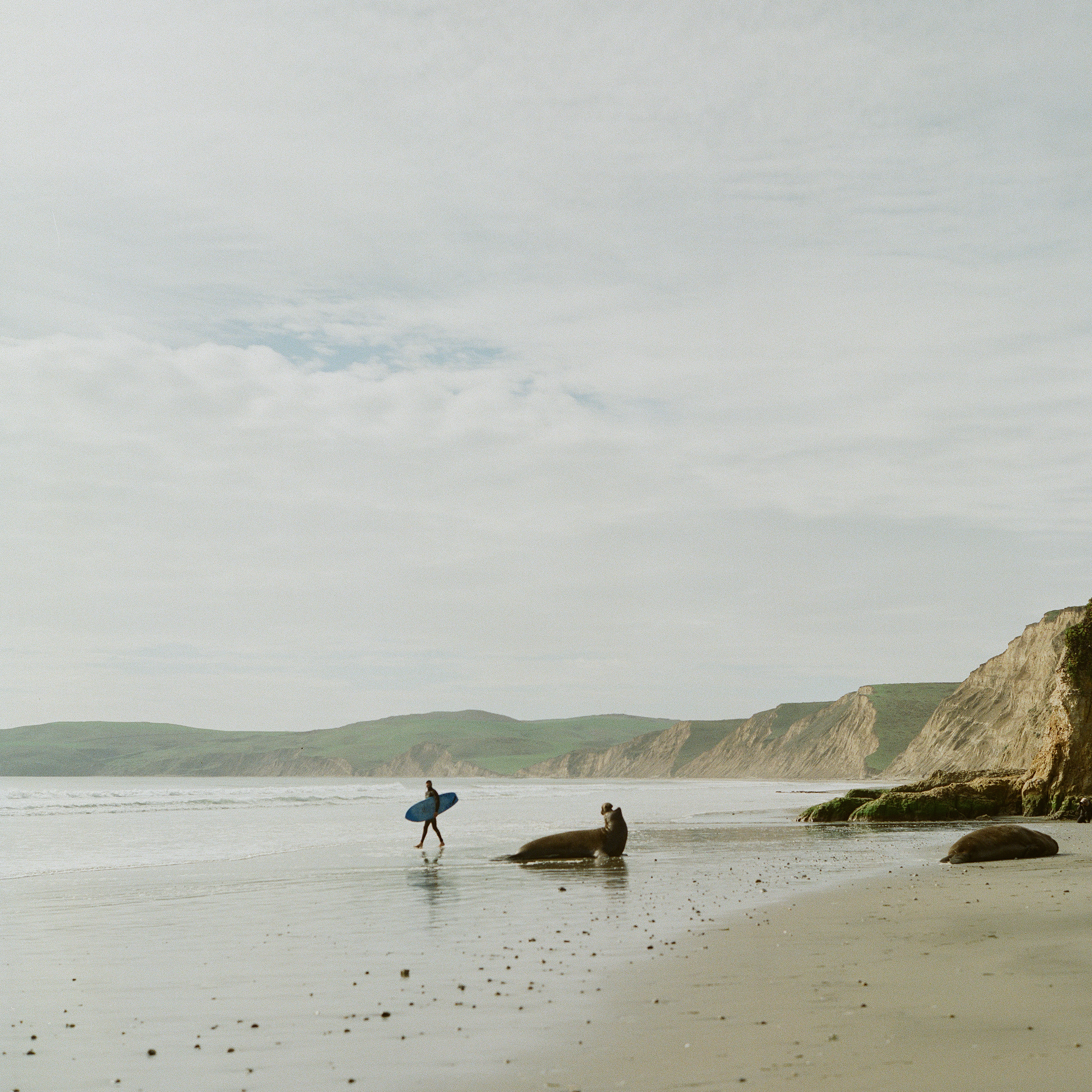 drakesbay-000028760001