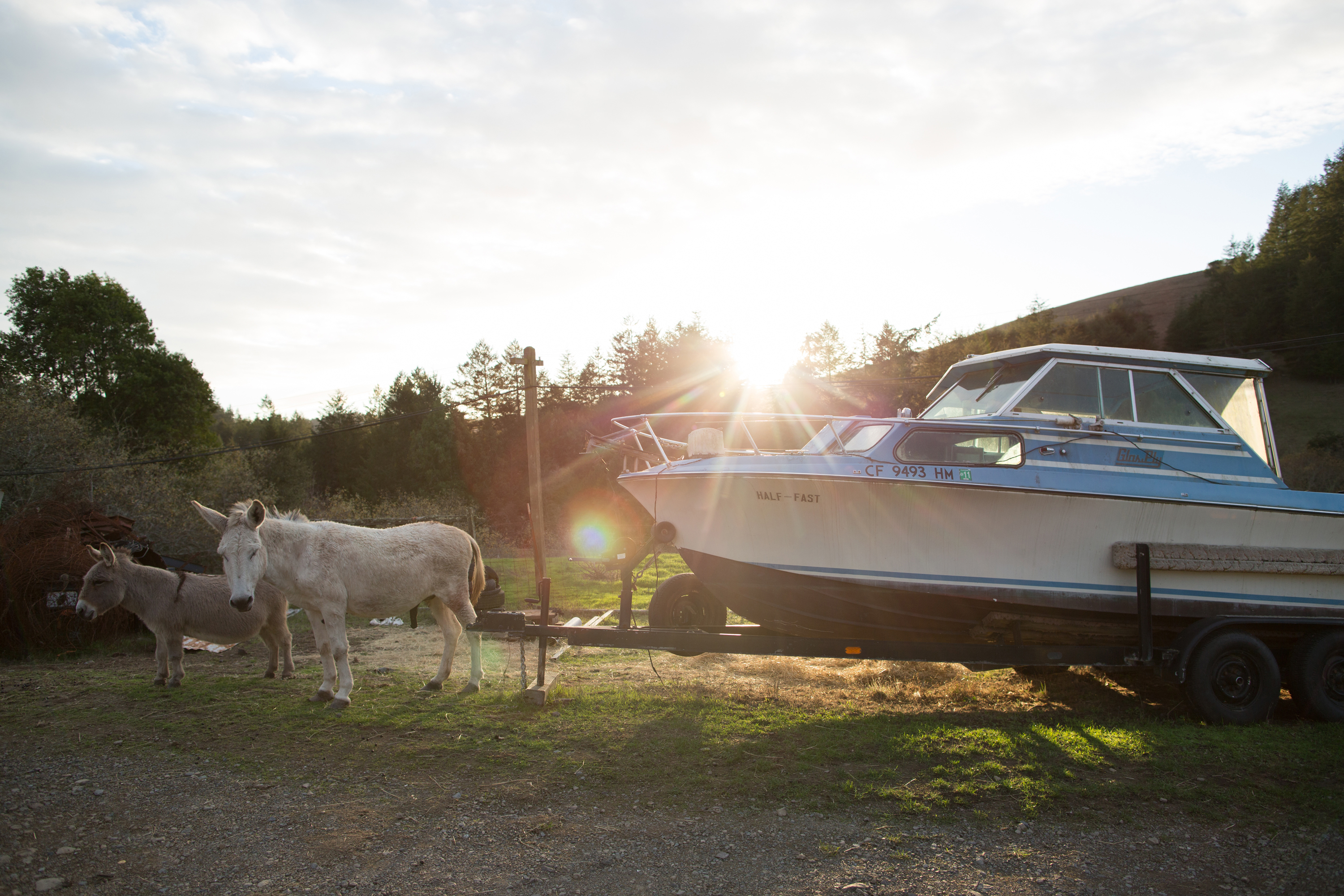 paigegreenfibershedpastures12142015-114