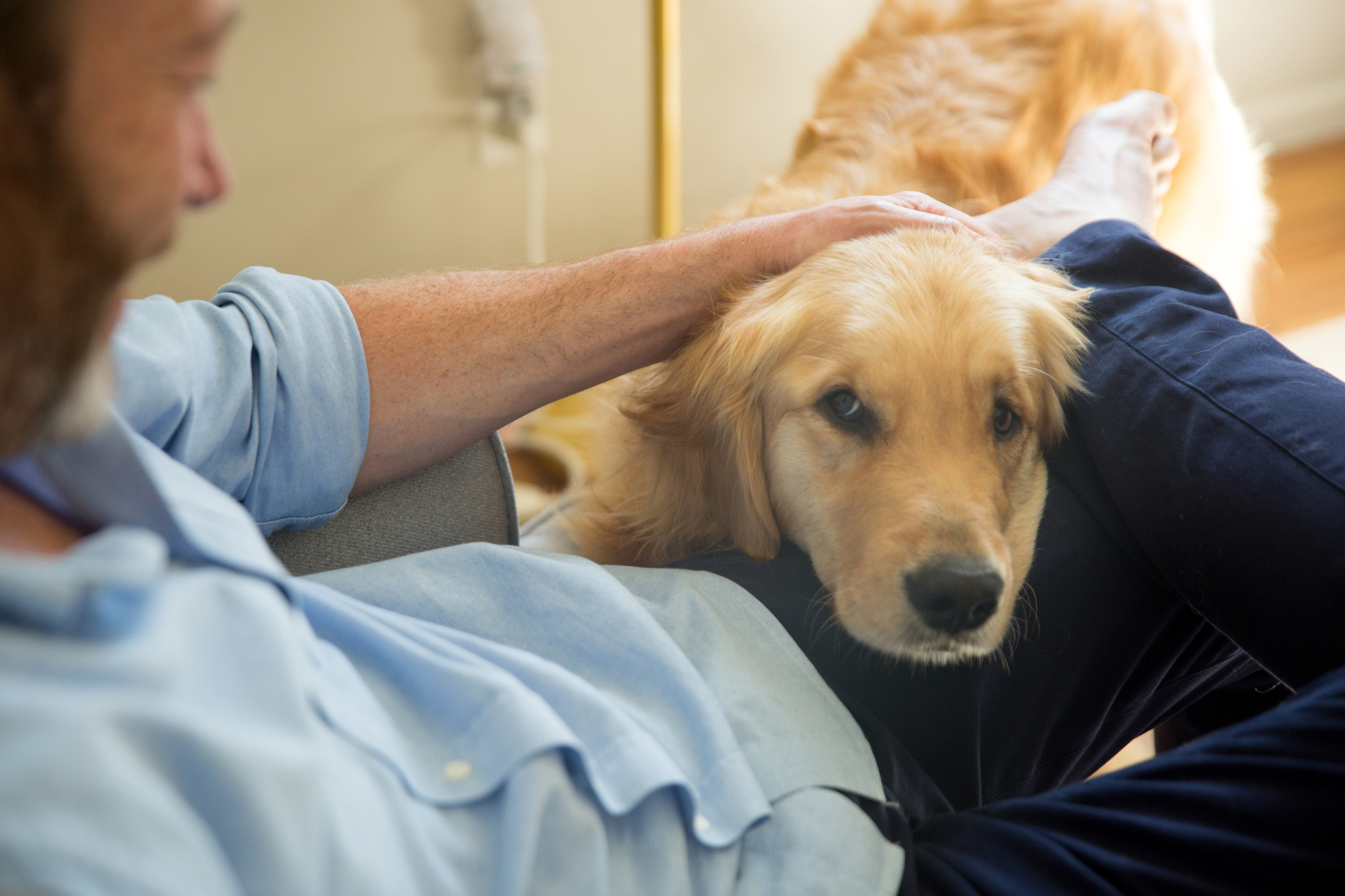 paigegreenkatemcpherson06032016-070