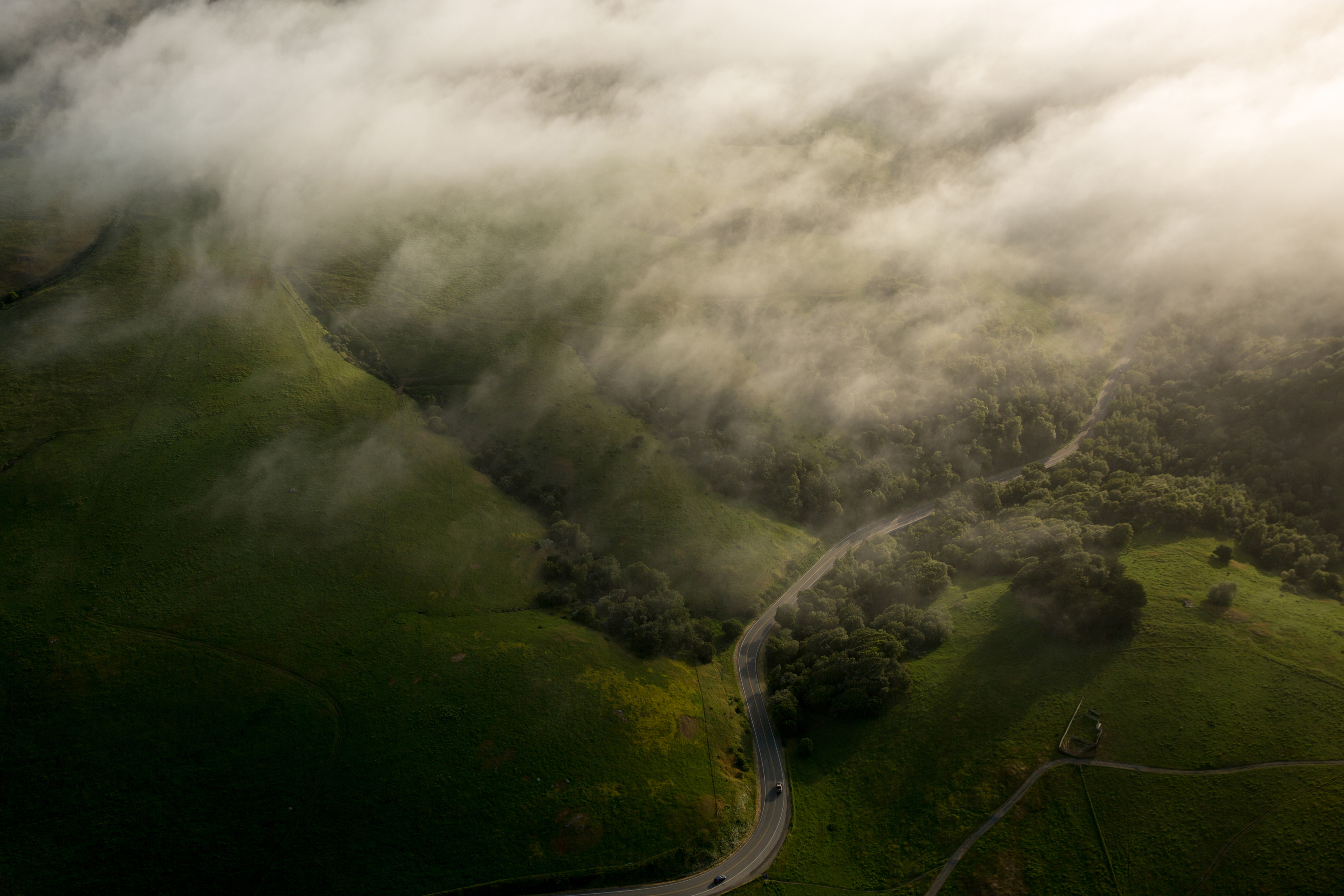 paigegreenmalt01312012-056