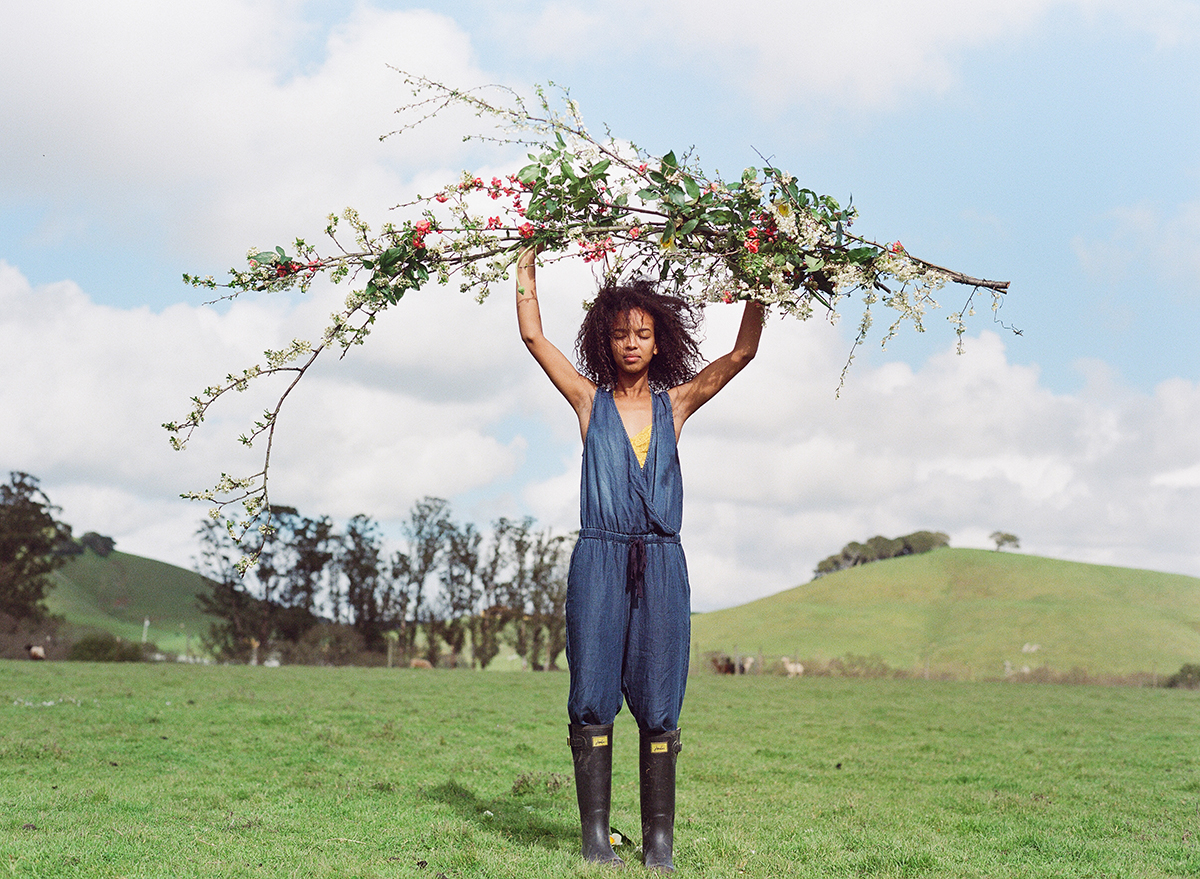 000082310013-FarmFlowerAyan-032017