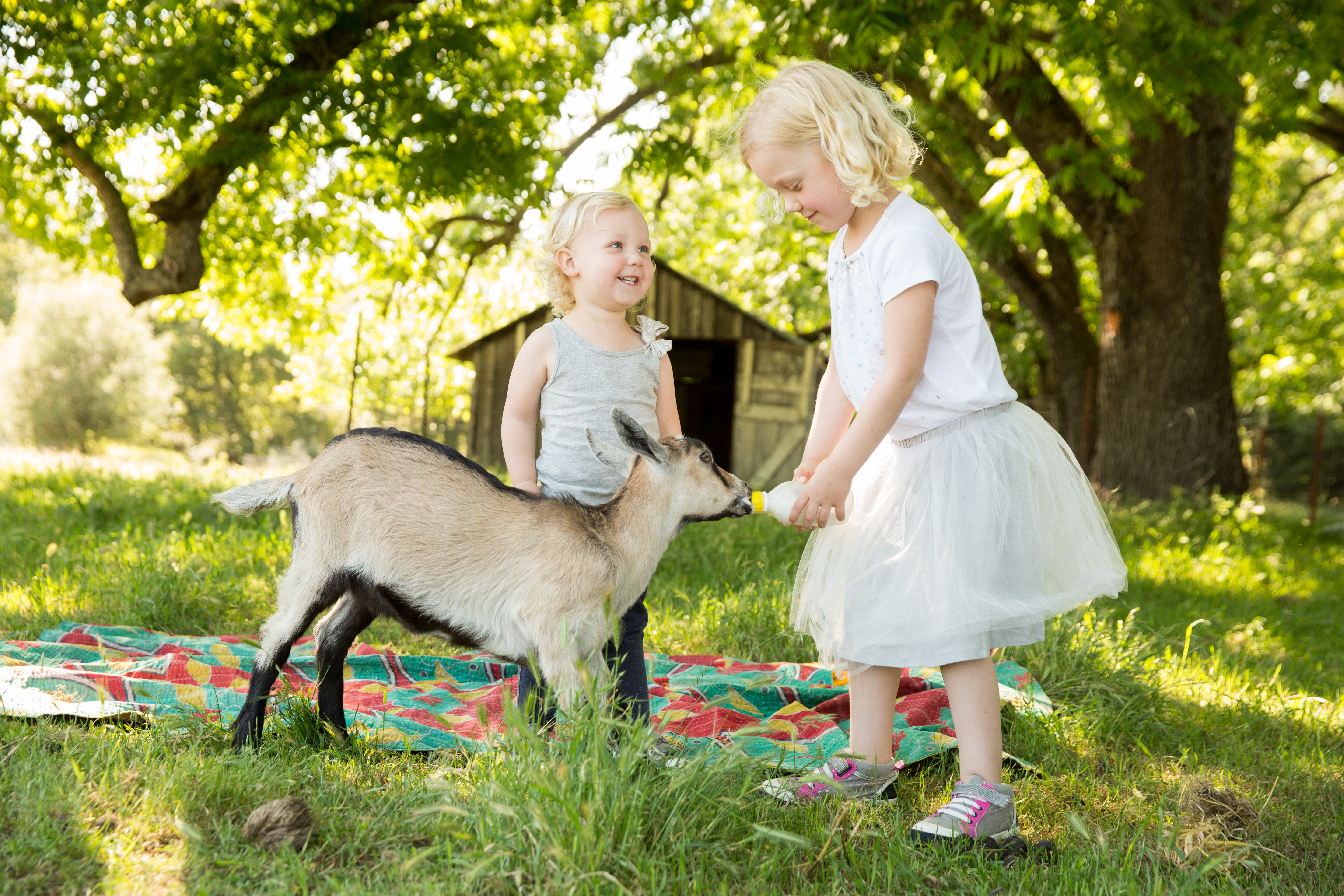 paigegreenAllisonWoofter01312012-035