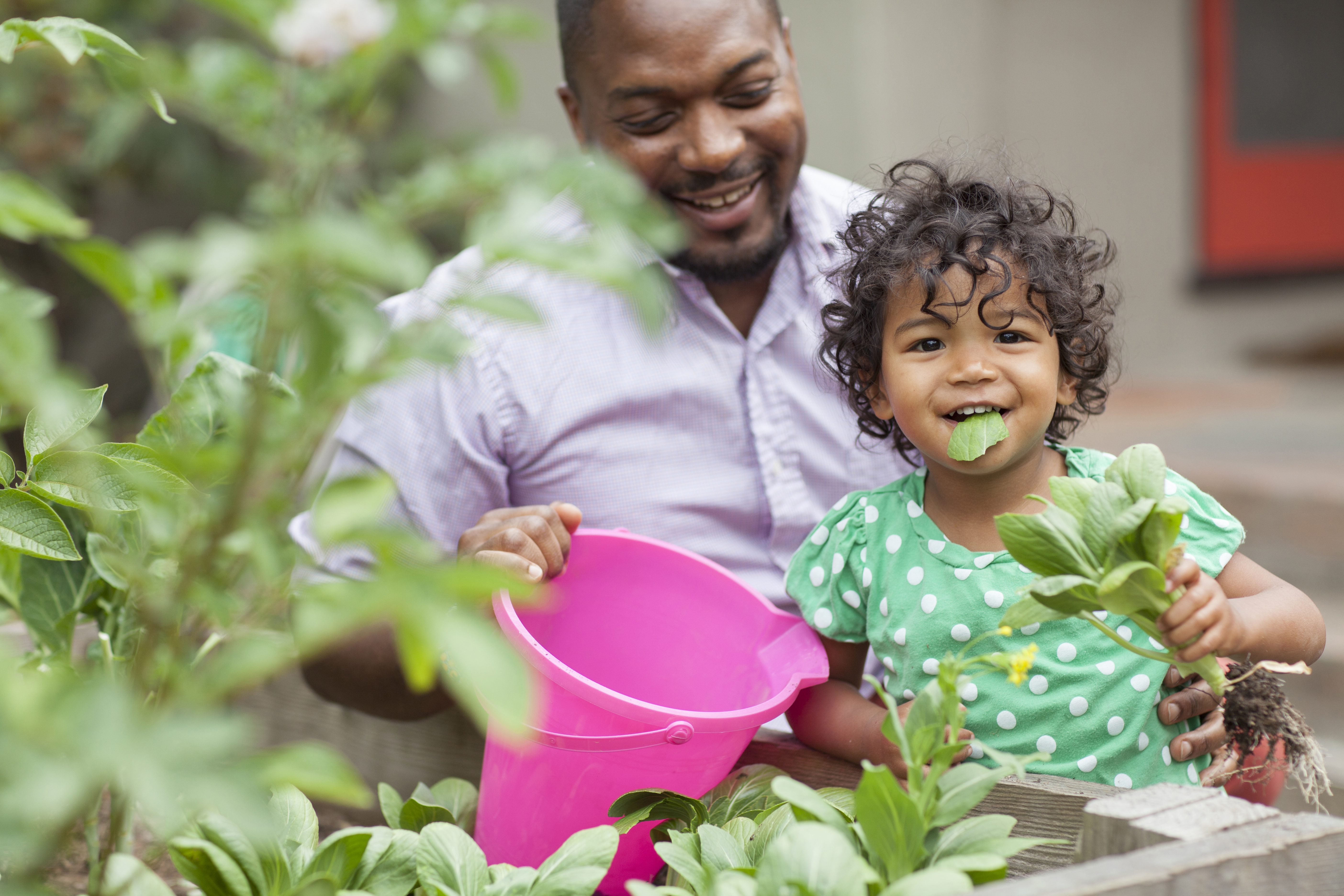 paigegreenBryantTerryFile64560