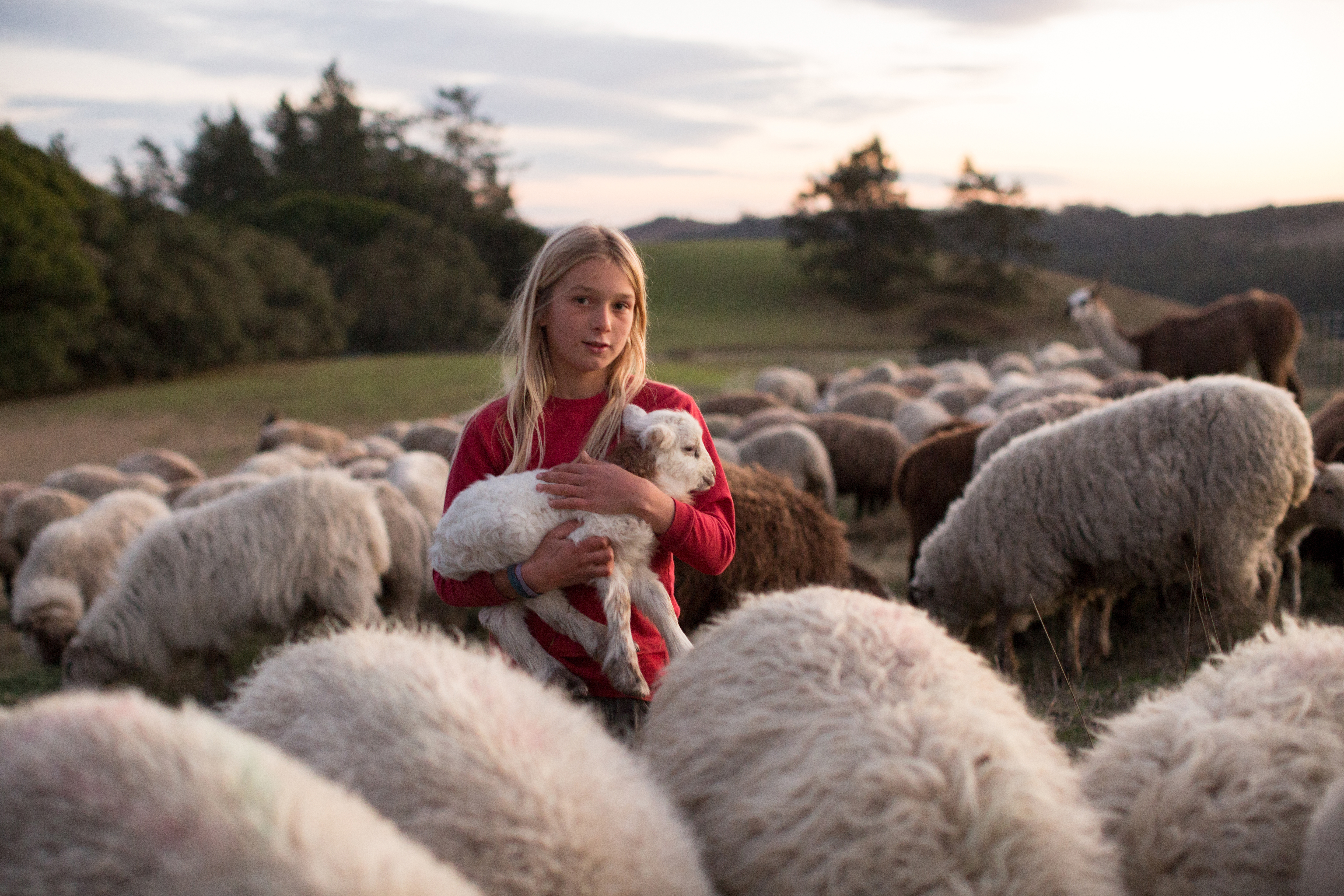 paigegreenFibershedPastures12142015-214